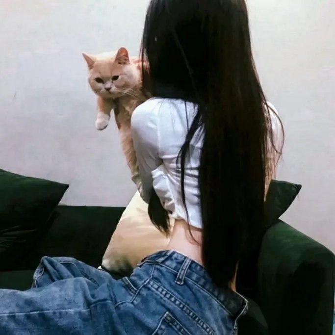 男孩与桥